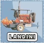 Landini